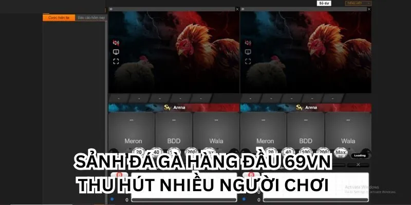 Sảnh đá gà hàng đầu 69VN thu hút nhiều người chơi